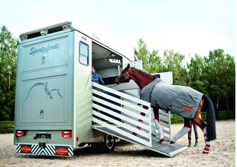 Ce qu’il faut savoir avant l’achat d’un camion pour transporter les chevaux.