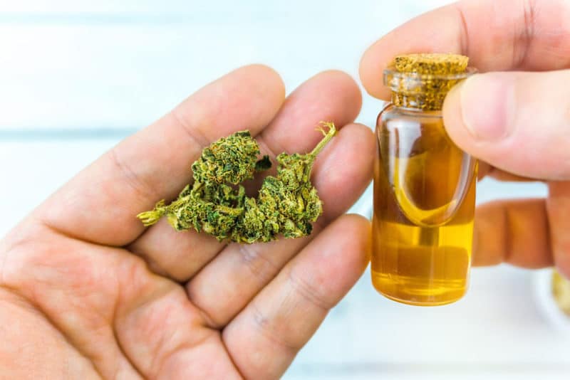 cannbidiol