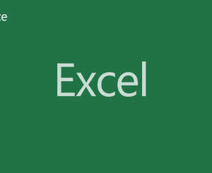 Logo Excel