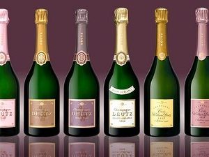 variété de bouteilles de champagne