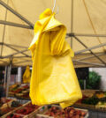 interdiction sacs plastiques en France