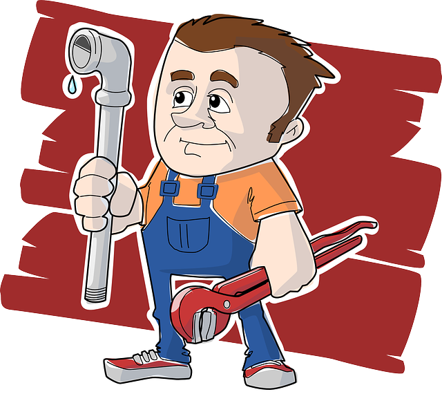 futur franchisé de plomberie ?