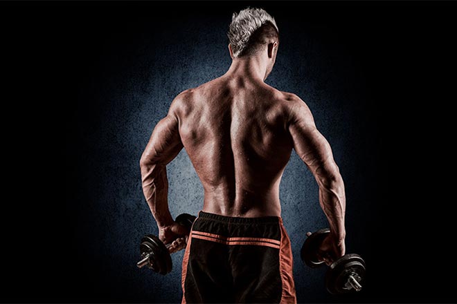 les muscles à protéger en musculation