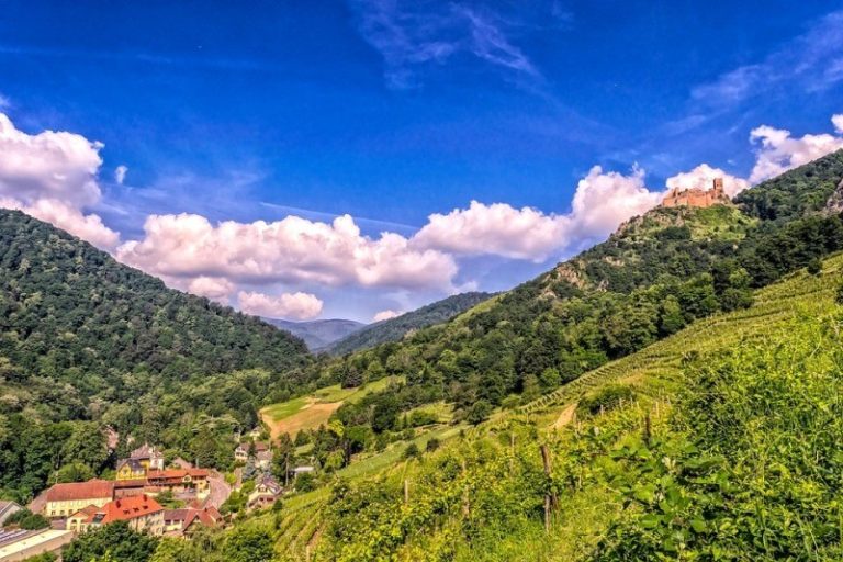 paysage de vosges