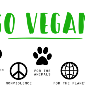 go vegan