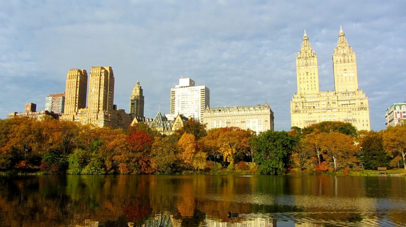 paysage new yorkais