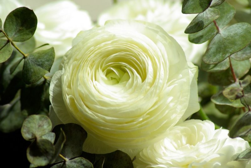 secondflor, fleurs et mousse stabilisée