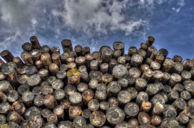 Le bois: le matériau idéal pour nos maisons?