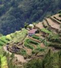 de grandes terrasses dans les philippines