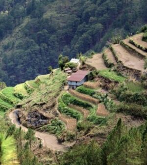 de grandes terrasses dans les philippines