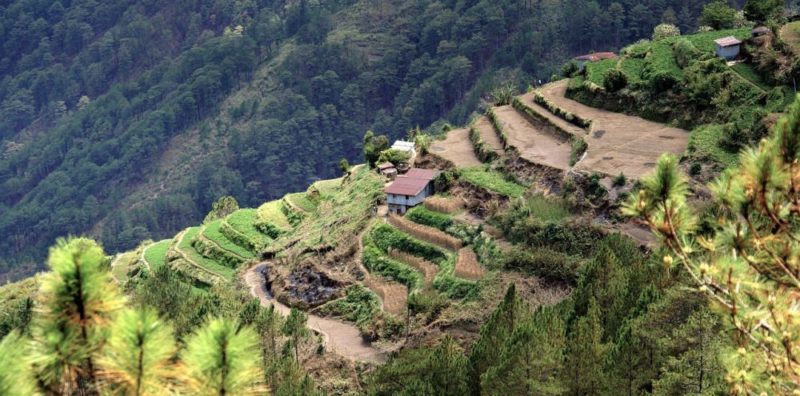 de grandes terrasses dans les philippines