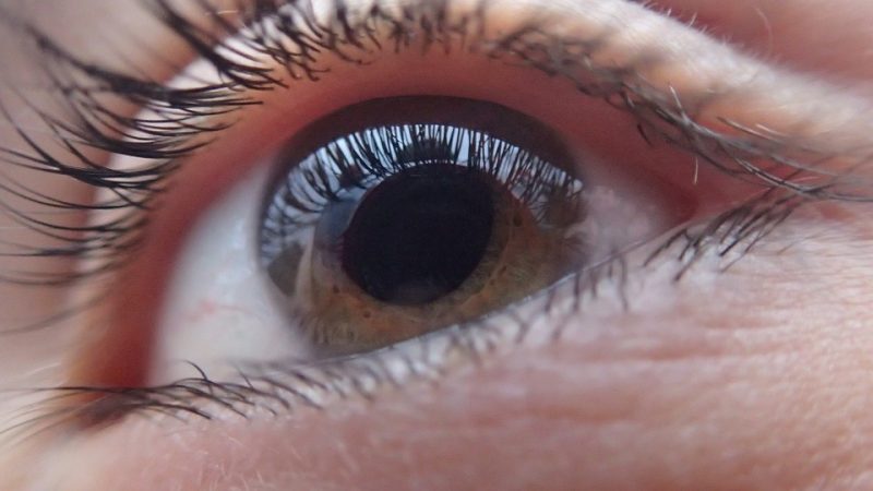 Glaucome et cataracte: quelles différences?