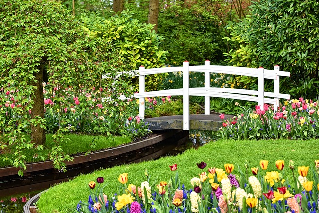 Jardin fleuri