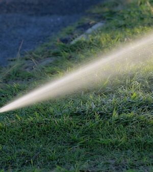 Arrosage de jardin avec un récupérateur d'eau de pluie