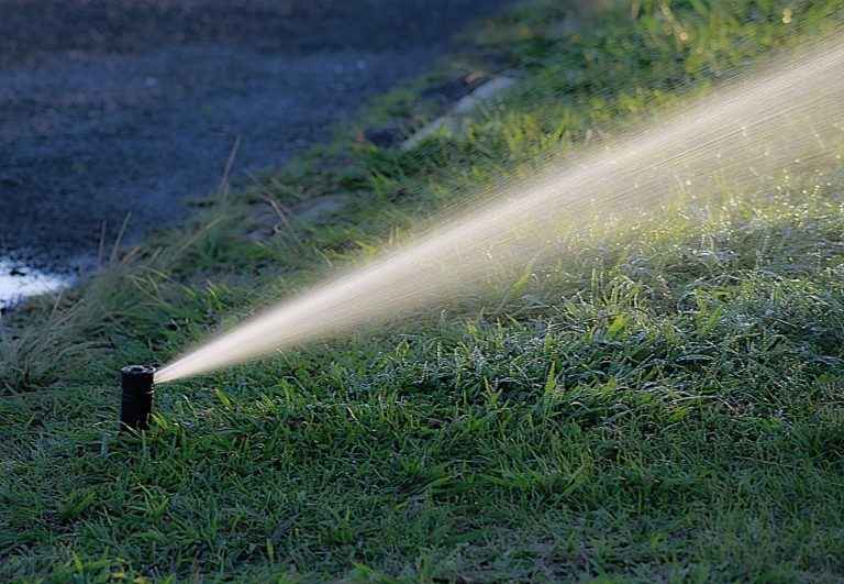 Arrosage de jardin avec un récupérateur d'eau de pluie