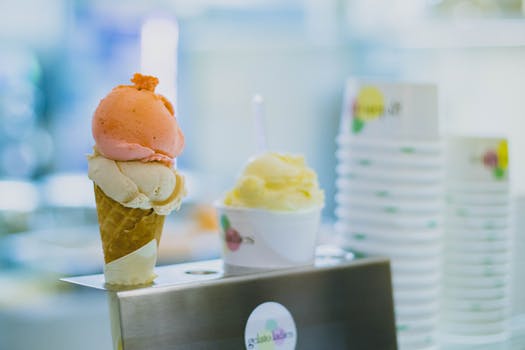 glace artisanale maitre artisan