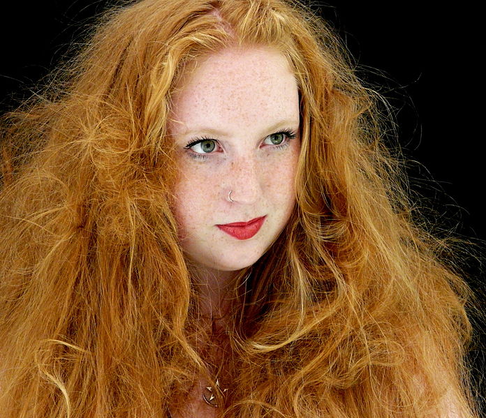 soin cheveux secs