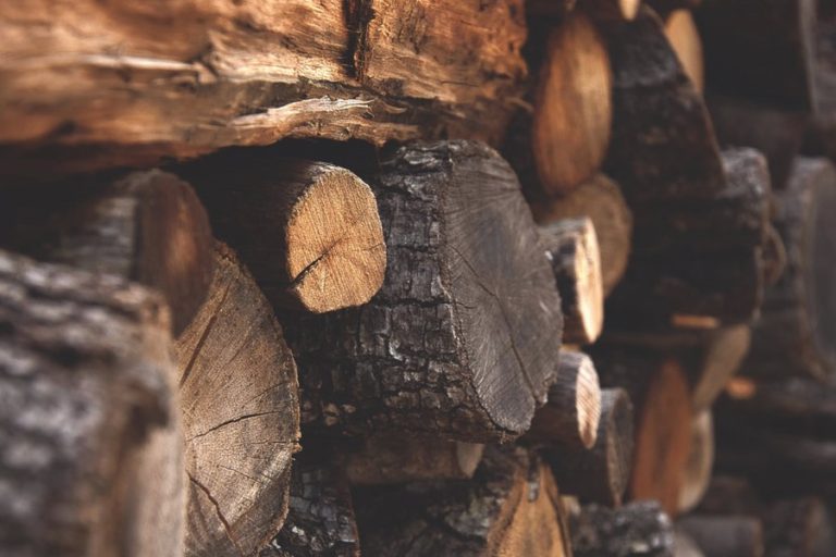 Classement des meilleurs bois pour votre poêle à bois