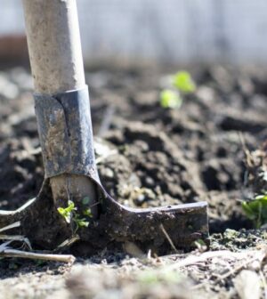 preparer le potager