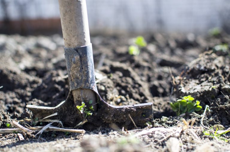 preparer le potager