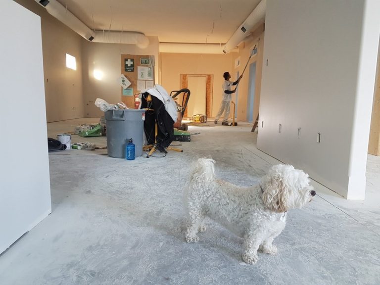 Rénover une maison en 5 étapes