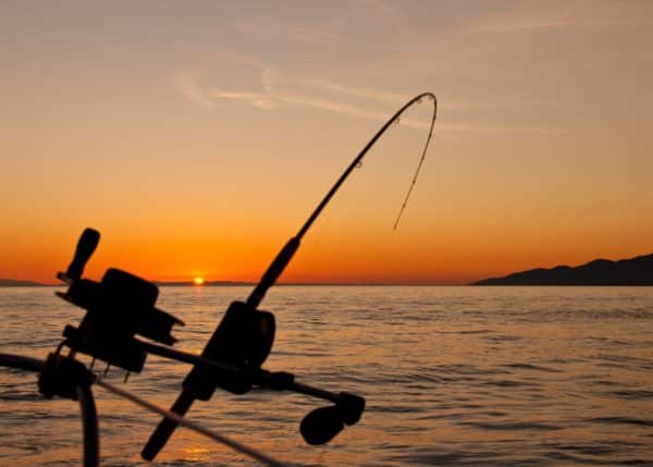 canne à pêche télescopique
