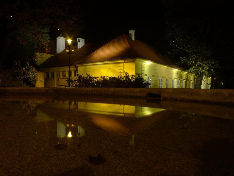 projecteur pour illuminer votre jardin