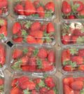Emballage alimentaire
