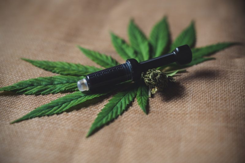 différence entre cannabis et CBD