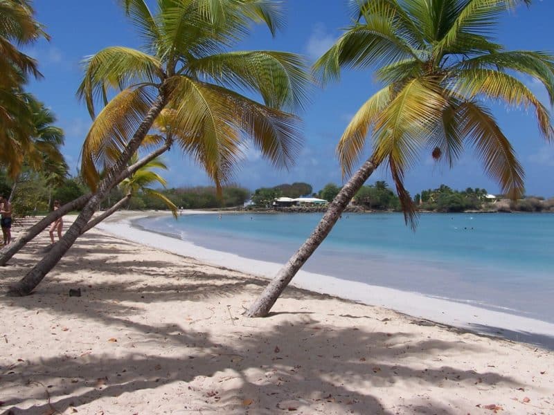 location de voiture