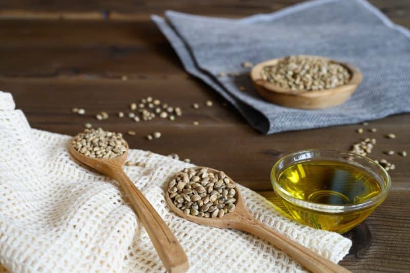 graines de cannabis