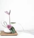 ikebana