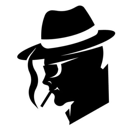 meilleur détective privé