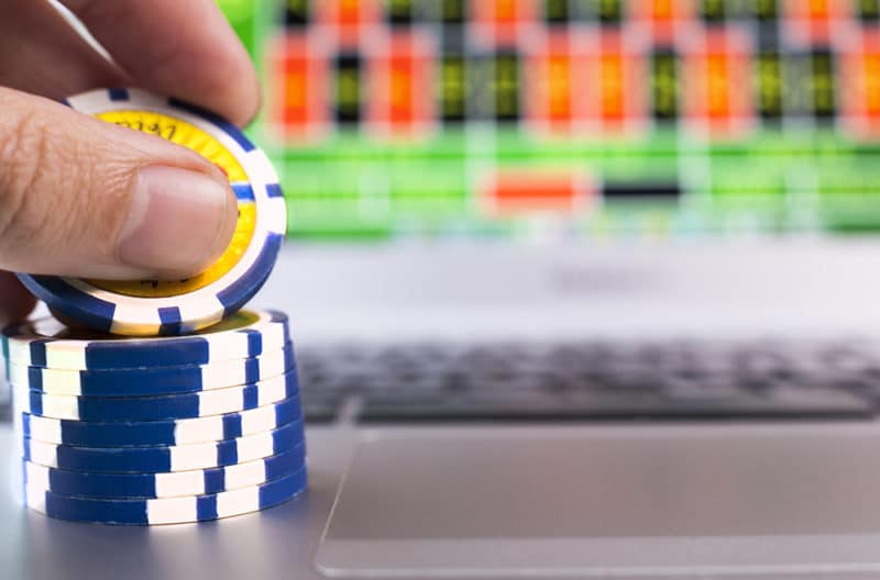 novices casino