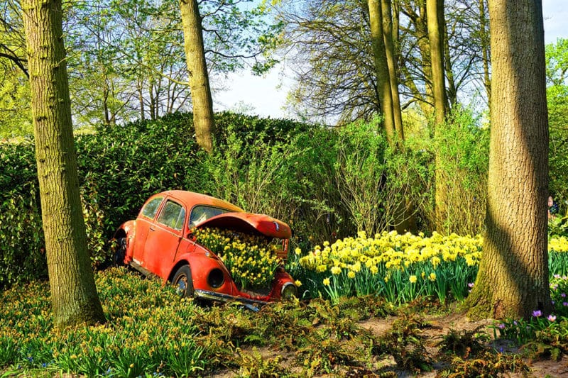 voiture épave