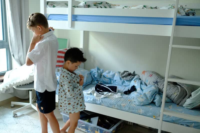 organisation école