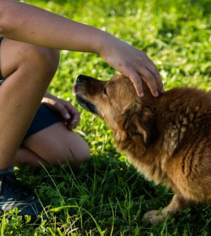 parc animalie