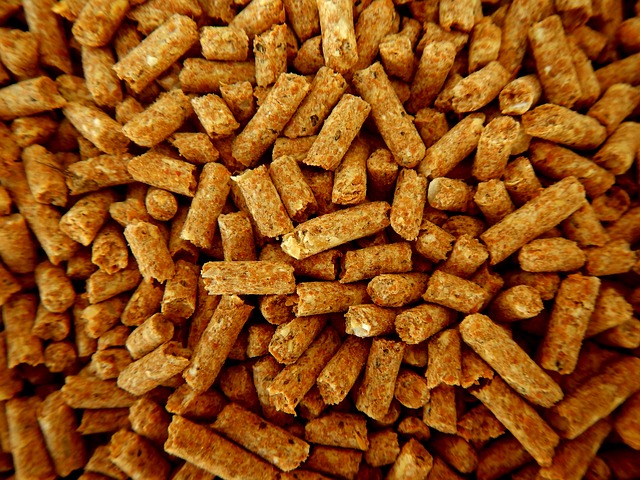 pellets lalouvière