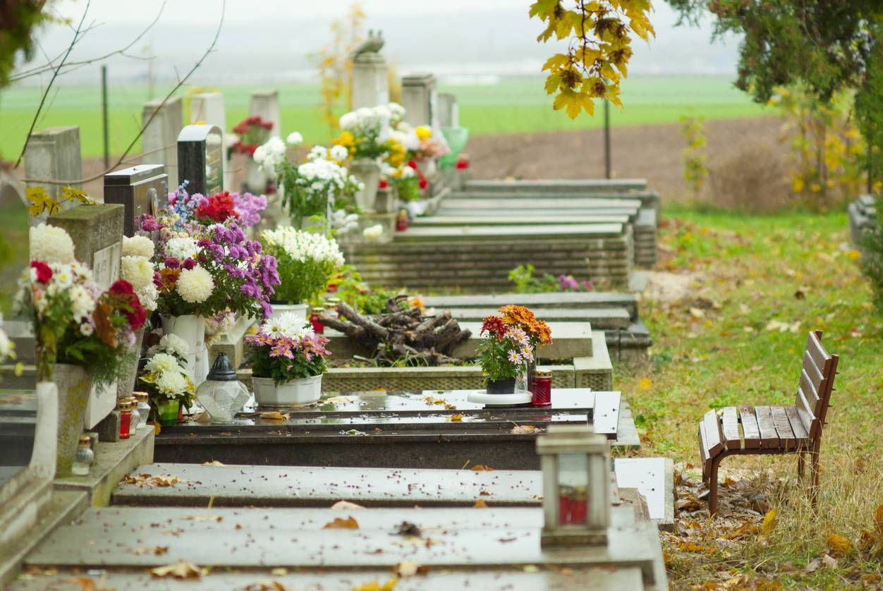 plantes cimetière