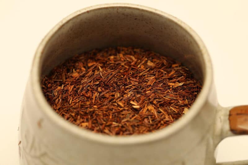 popularité rooibos