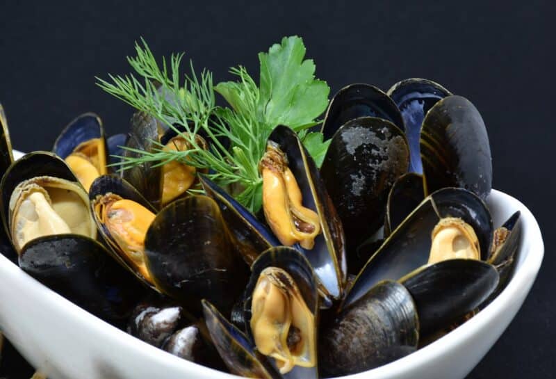 bienfaits moules