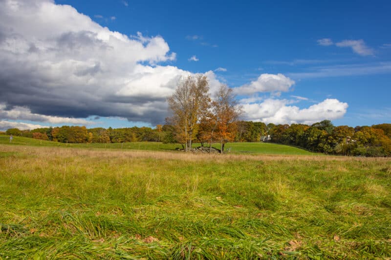 agence immobilière locale pour vendre un terrain à bâtir