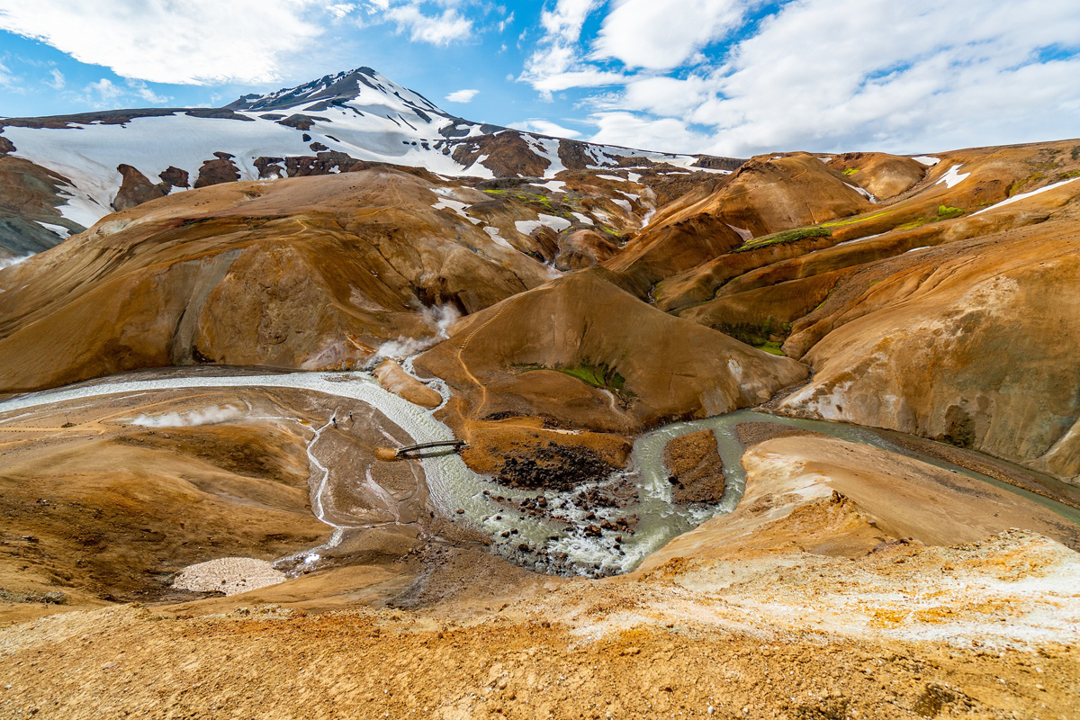 animaux d'islande