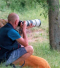 observation des animaux d'islande