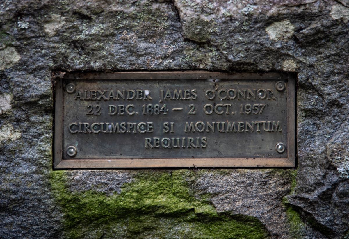 plaque
