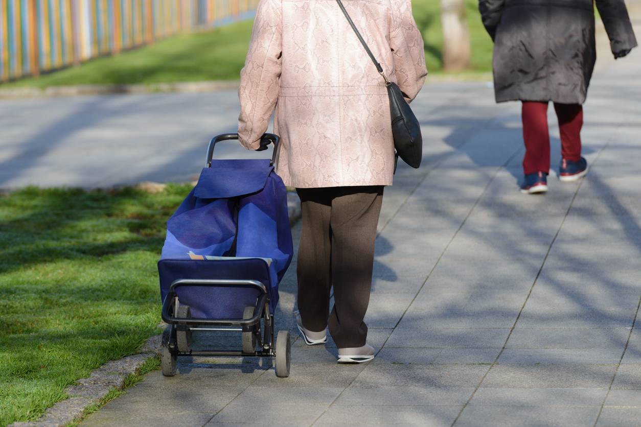 poussettes de marché pour faire les courses