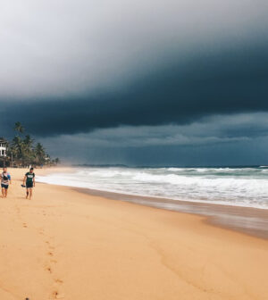 Découvrir Sri Lanka