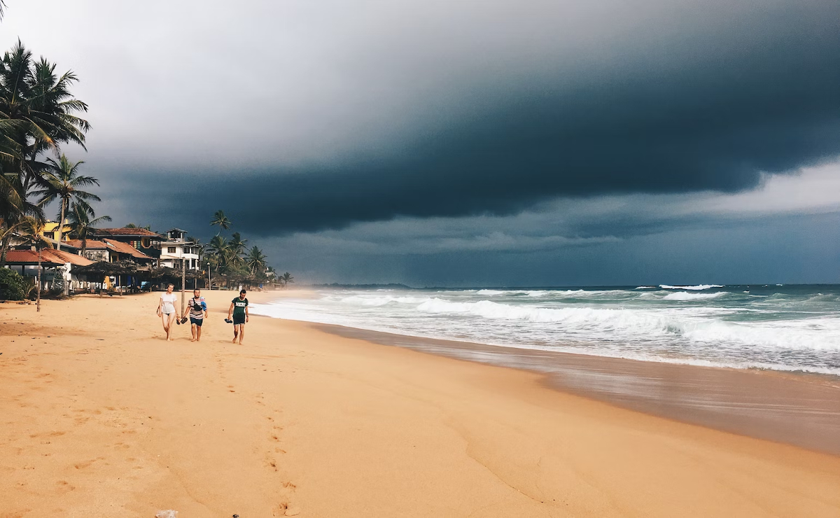 Découvrir Sri Lanka