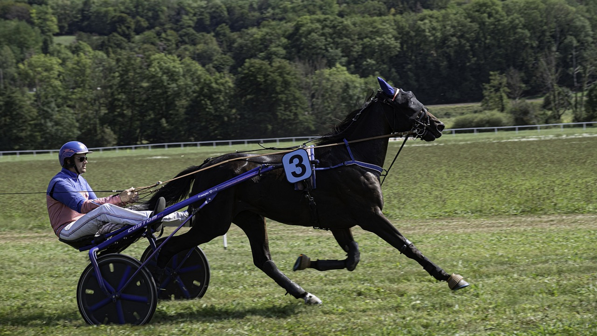 sport traditionnel