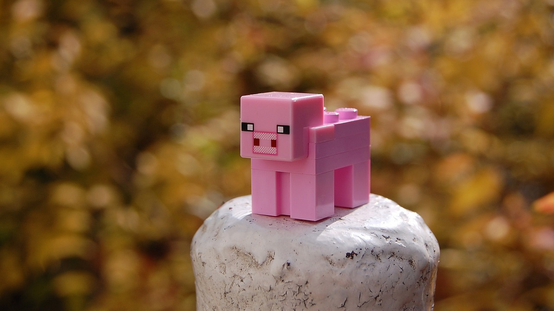 Monter un serveur Minecraft : une idée de business vraiment rentable ?